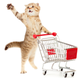 Illustration for article titled Man Allegedly Stole Nearly $200,000 to Buy Cat Food